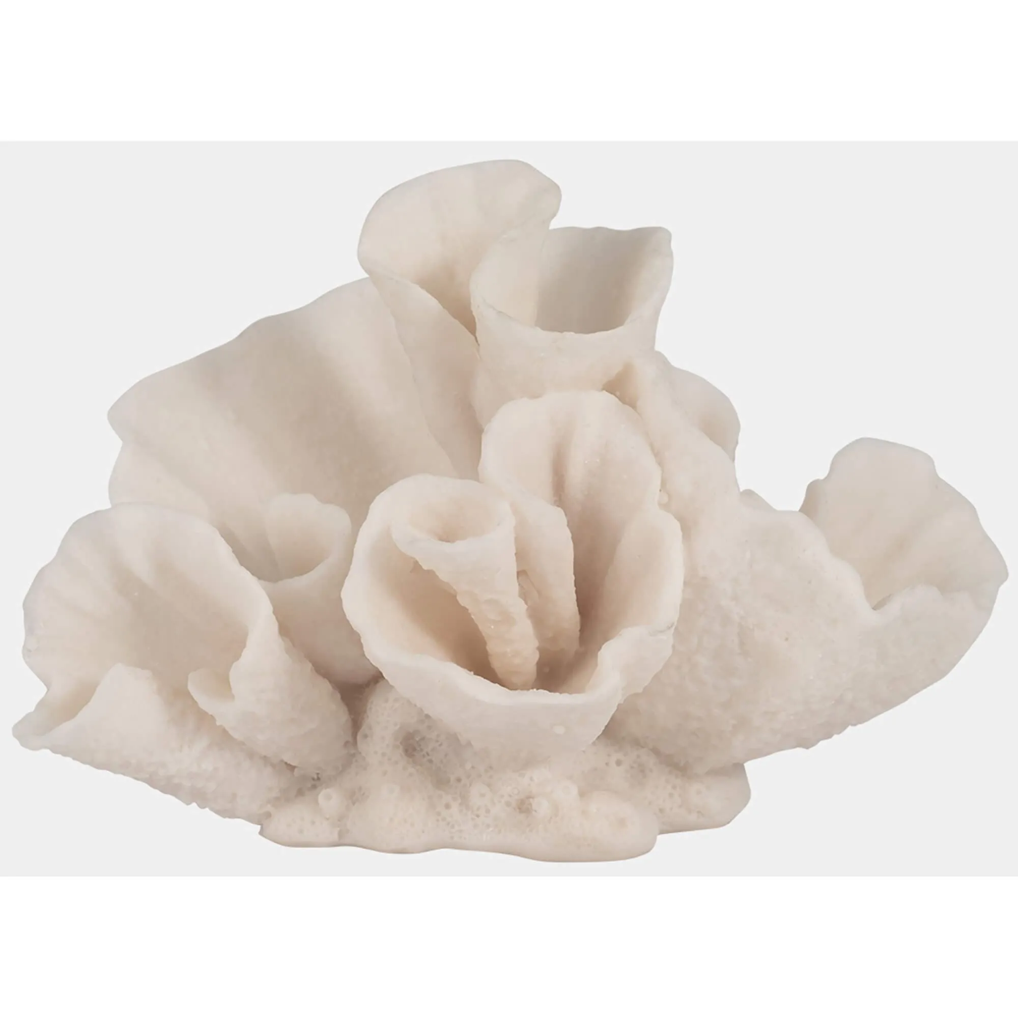 Coral Object, Ivory