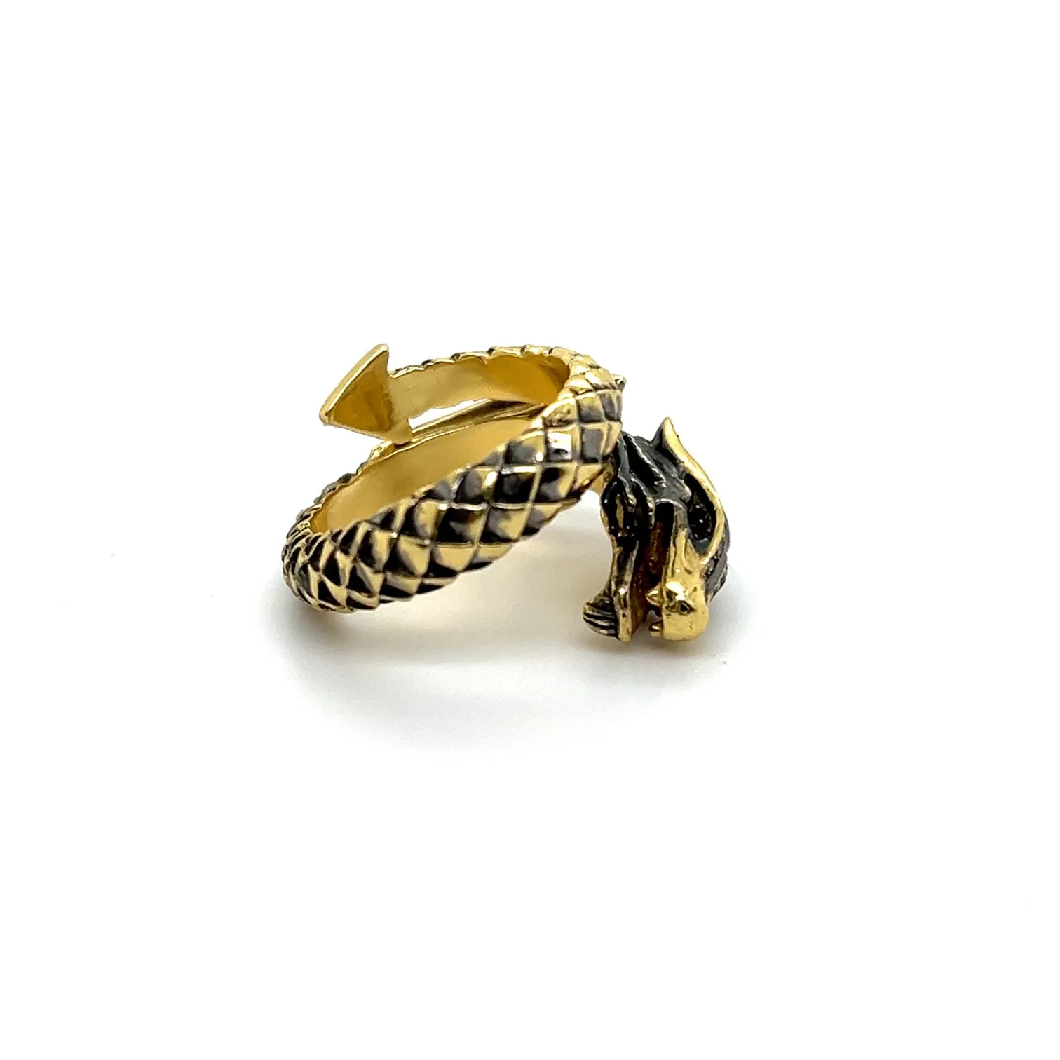 Fire Breathing Dragon Eternity Band 1