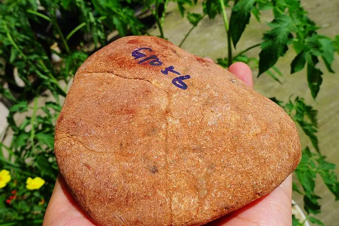 Natural Jade Rough Jadeite Raw (795g,11.4X9.6X4.2cm)